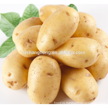 2014 fresh potato 100-150g